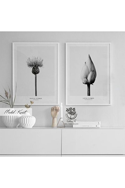 Tablomtr Metal Çerçeveli Gerçek Camlı Tablo Kerat 2 Li Set