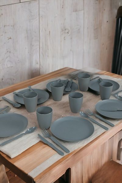 İronika Grey Picnic Set for 6 People - 31 Pieces Dinner Breakfast Set with Bag, Plastic Cup and Spoon Knife