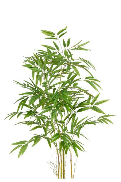 Generic شجرة بامبو اصطناعية (4 فروع) بمركن بلاستيك دائري
