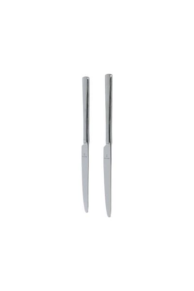 Generic Amefa 2-Piece Table Knife Silver