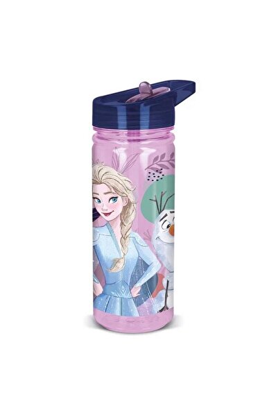 Generic STOR Frozen Ecozen BPA-Free Water Bottle with Sippy Straw Purple and Blue 580ml