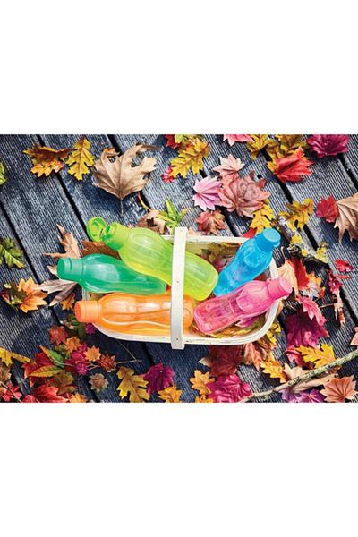 Generic Tupperware Lightweight and Leak-Proof Eco Water Bottle Orange 750ml 11164941