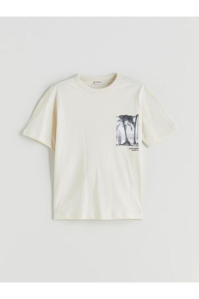 LC Waikiki Beige Crew Neck Boy's T-Shirt