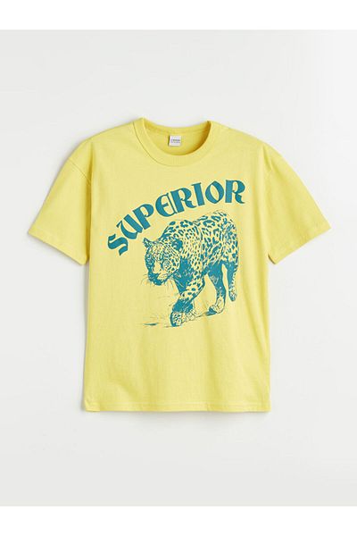 LC Waikiki New Season Crew Neck Men's T-Shirt - S58858Z4