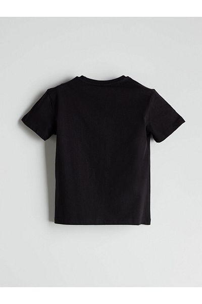 LC Waikiki New Season Crew Neck Men's T-Shirt - S5K376Z4