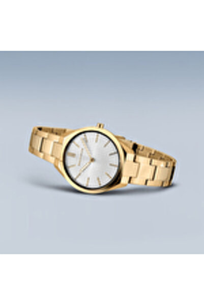 Bering Bering 17231-734 Kol Saati