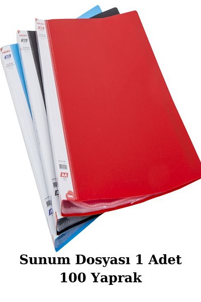NEON PLUS Presentation File 1 Piece 100 Sheets, Archiving, Catalog File