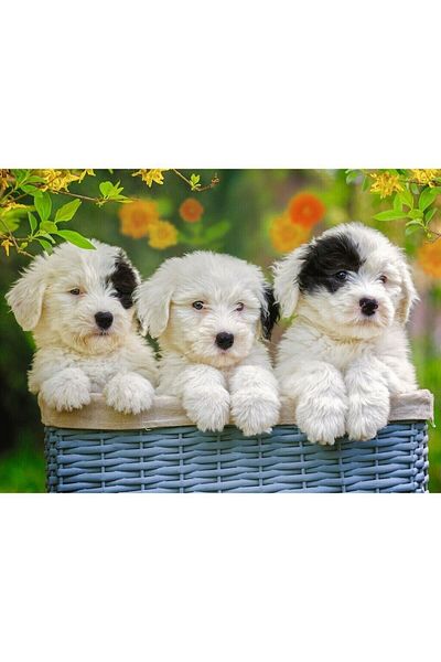RAVENSBURGER 127658 Cuddly Puppies 200 Piece XXL Puzzle