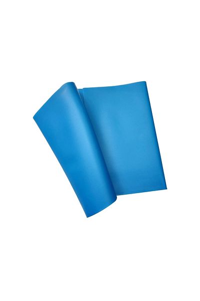 Lenaca Blue Pilates Tire