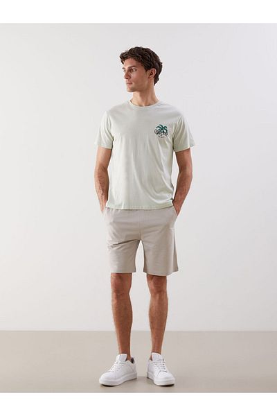 LC Waikiki Beige Standard Fit Men's Shorts