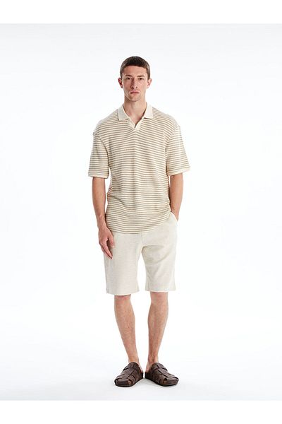 LC Waikiki Νέα σεζόν Polo Collar Striped Ανδρικό Tisort - S5J163Z8
