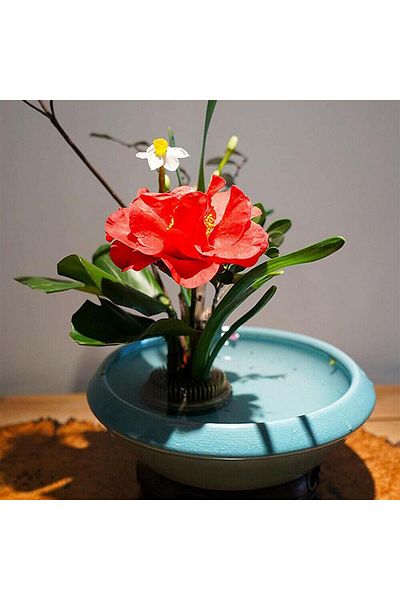 Choice 46mm Round Ikebana Flower Frog With Gasket Art Fixed Arranging Tool Rubber Base Holder Floral Decor