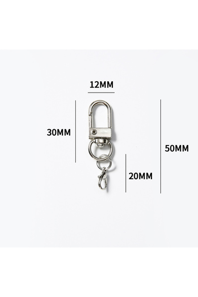 Choice 10 قطع فضية 10/50/100 قطعة مشبك حلقة تسلق ملونة سلسلة مفاتيح دوارة لسل...