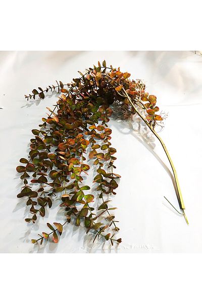 Choice 104CMYJLBG-H 104cm Fake Eucalyptus Rattan Artificial Plants Vine Plastic Tree Branch Wall Hanging Le