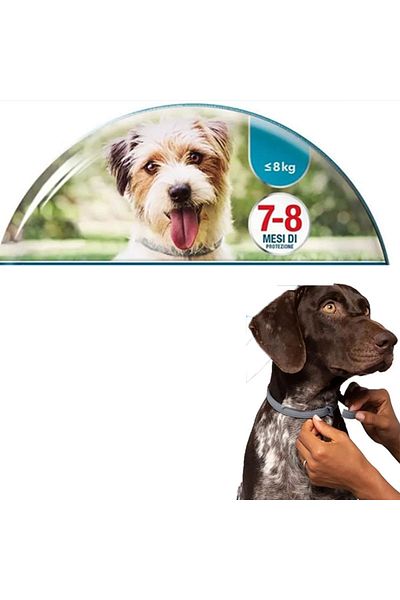 Choice small dog Dog Anti Flea And Tick Collars,Pet 8Month Protection Adjustable Collar For Large Dog Puppy