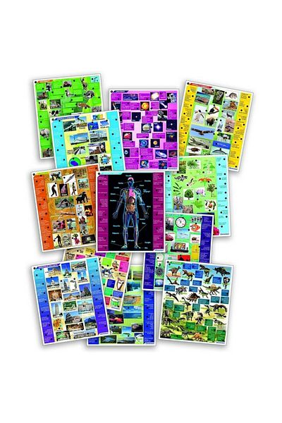 CLEMENTONI Educational game, Sapientino Interactive Encyclopedia, in Italian