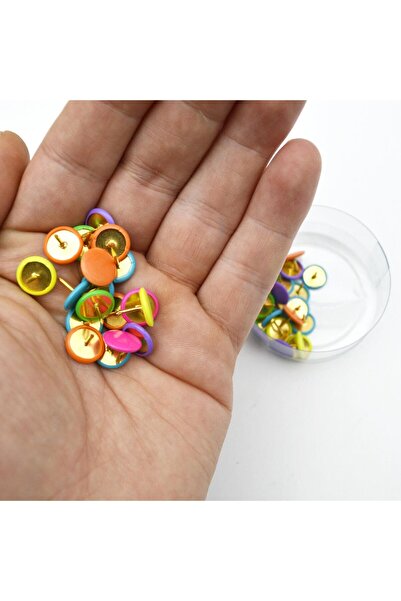 Linea Plastik Başlı Renkli Raptiye 50 li (RP50)