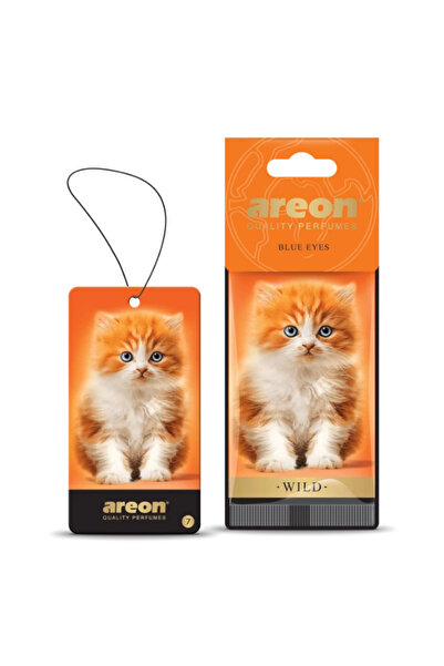 Areon Wild Blue Eyes Oto Araç Kokusu