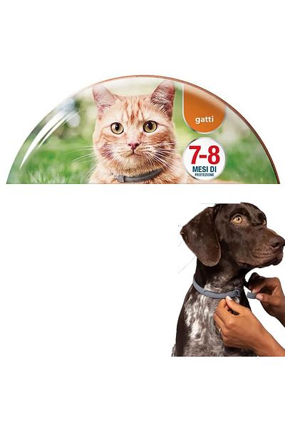 Choice cat Dog Anti Flea And Tick Collars,Pet 8Month Protection Adjustable Collar For Large Dog Puppy Cat,