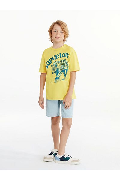 LC Waikiki Sari Crew Neck Boy's T-Shirt