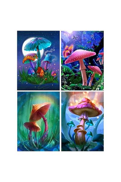 DCIDBEI Set of 4 5D diamond paintings by numbers, mushroom theme, 30x40 cm, multi-colored