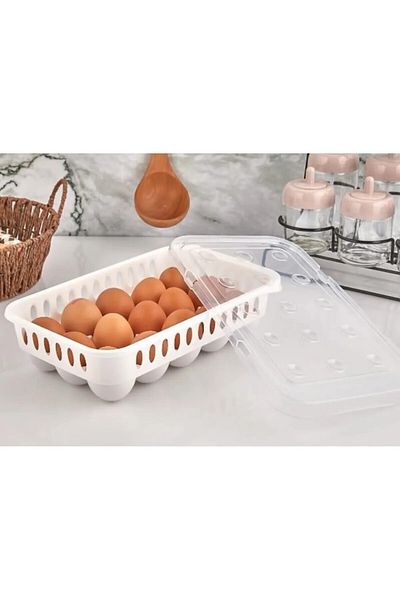 ALMITAL Egg Storage Container 15 Pcs 1 Piece, Sterile Egg Cup, Egg Organizer with Lid