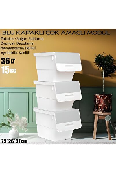 Saatistan 3’lü Kapaklı Tekerlekli Saklama Sepeti, Organizer, Raf, Patates, So...