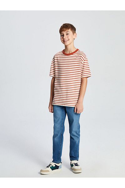 LC Waikiki Blue Crew Neck Striped Boy's T-Shirt