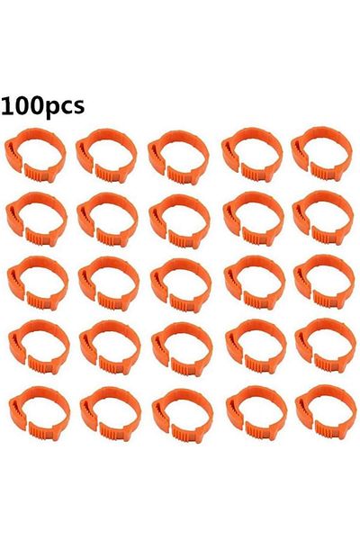 OEM Set of 100 chicken rings, Orange