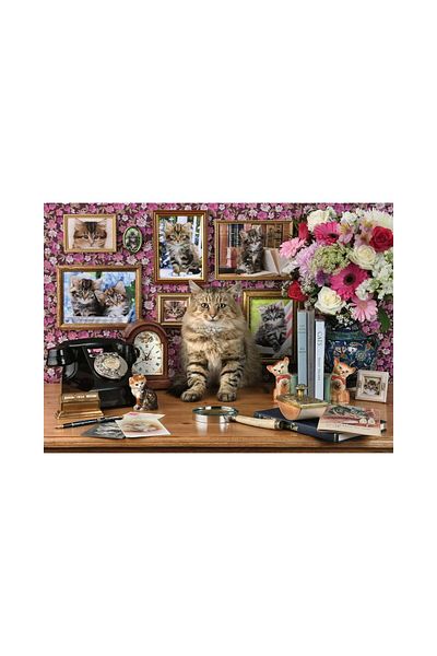 RAVENSBURGER Puzzle Ravensburger - My Kittens, 1000 piese