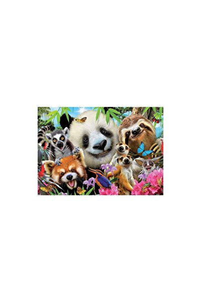EDUCA Puzzle - Black-Eyed Friends Selfie, 300 piese