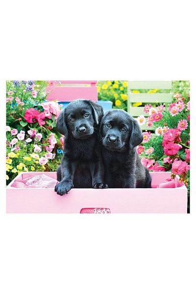 Eurographics Puzzle 500 pieces XXL - Black Labs in Pink Box