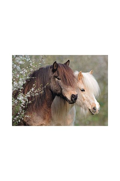 RAVENSBURGER Puzzle 150 pieces Ravensburger - Ponies