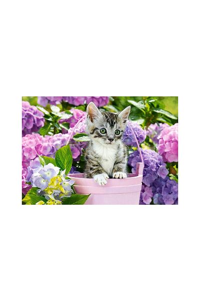 Castorland Puzzle 1500 pieces Castorland - Kitten in Basket