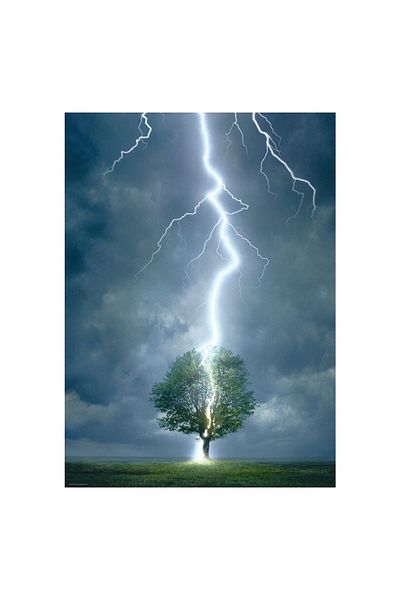 Eurographics Puzzle Eurographics - Lightning striking a tree, 1000 pieces