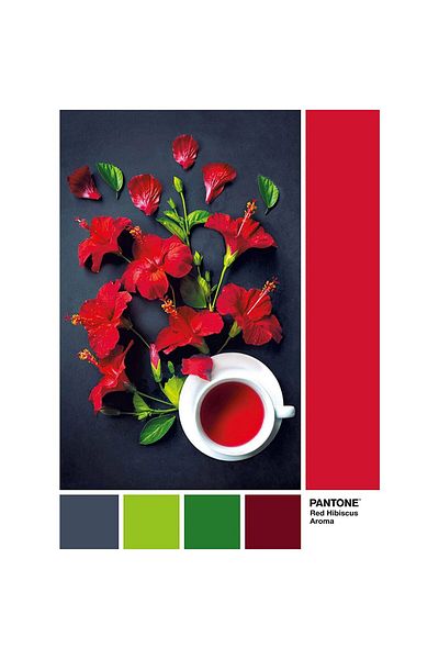 CLEMENTONI Clementoni Puzzle - Pantone - Goji Berry, 1000 pieces
