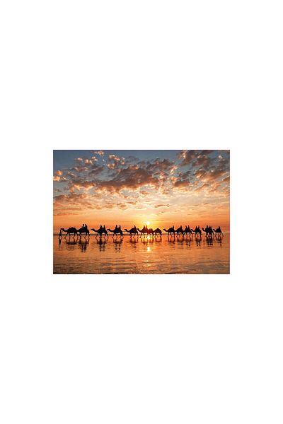 EDUCA Puzzle - Sunset In Beach Cable, 1000 piese