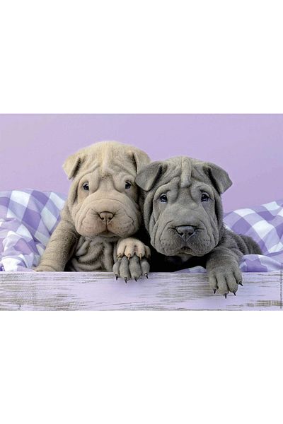 EDUCA Puzzle Educa - Good Morning!, 100 pieces
