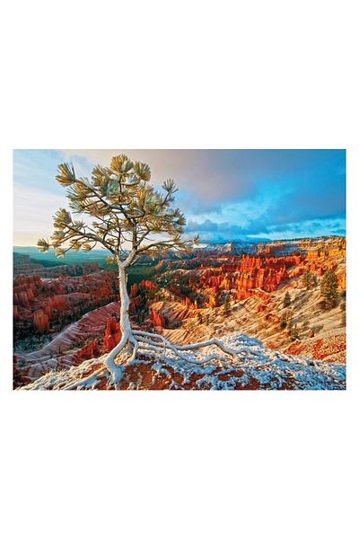 Eurographics Puzzle Eurographics - Winter Sunrise, 1000 pieces