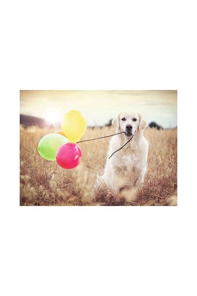 RAVENSBURGER Ravensburger Puzzle - Puppy With Balloons, 500 pieces