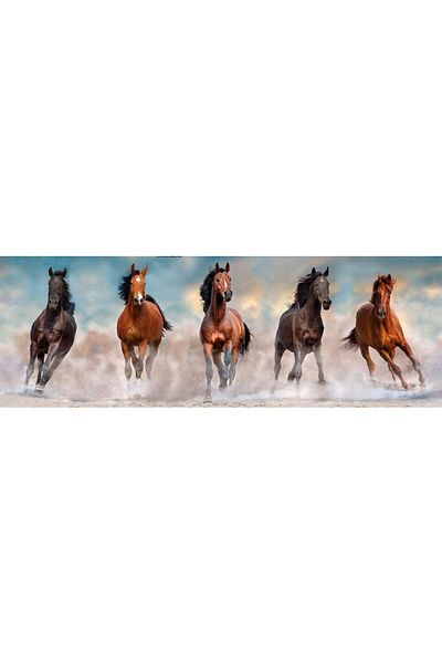 CLEMENTONI Puzzle 1000 pieces panoramic Clementoni - Horses