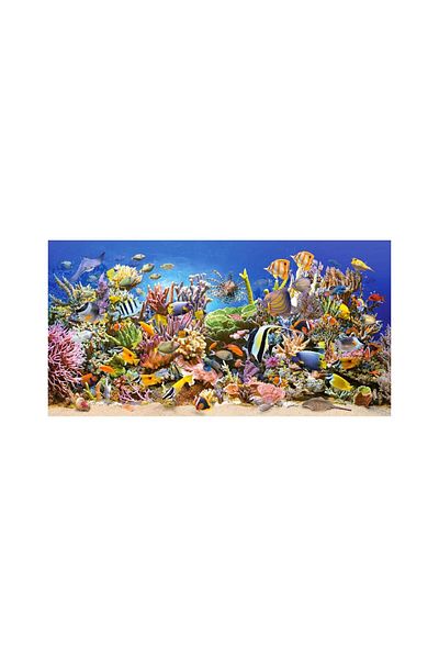 Castorland Castorland Puzzle - Underwater Life, 4000 pieces