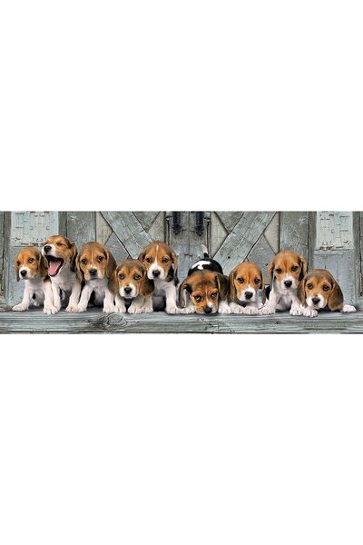 CLEMENTONI Puzzle panoramic - Beagles, 1000 piese