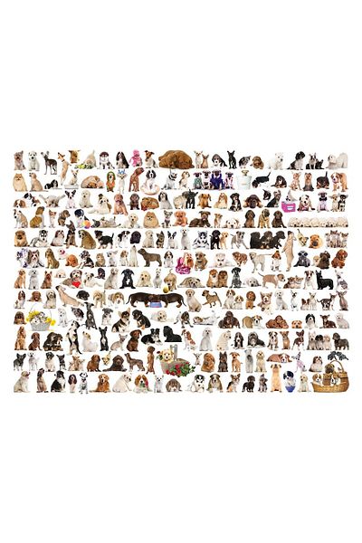 Eurographics Puzzle Eurographics - The World of Dogs, 1000 pieces