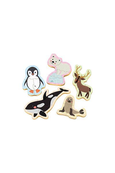 EDUCA Educa Puzzle - North Pole, 3/3/4/4/5 pieces
