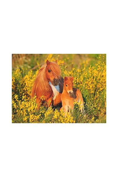 RAVENSBURGER Ravensburger 100 piece puzzle - Pony