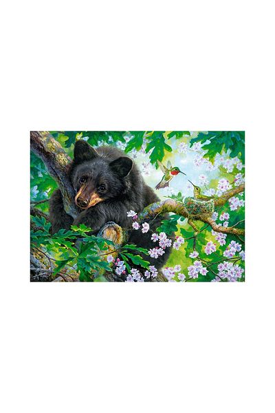 Castorland Puzzle 500 pieces Castorland - The Bear and the Hummingbirds