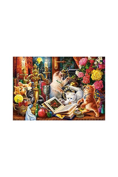 Castorland Puzzle 1000 pieces Castorland - Wizard Kittens