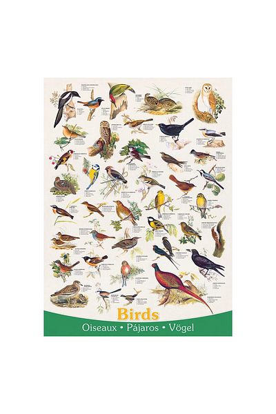 Eurographics Puzzle Eurographics - Birds, 1000 pieces
