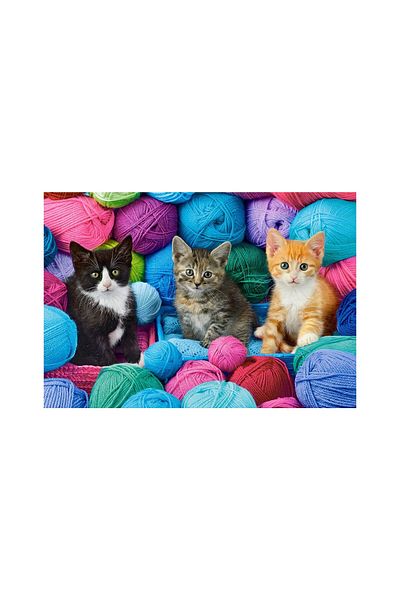 Castorland Puzzle 1000 pieces Castorland - Kittens in a Yarn Store